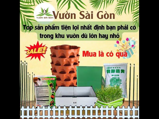 Các loại chậu trồng cây, dụng cụ hỗ trợ làm vườn tiện lợi, hiện đại