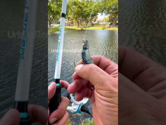 How to sling shot cast. #fishingvideos #urbanfloridafishing #southfloridafishing #cooledit #fishing