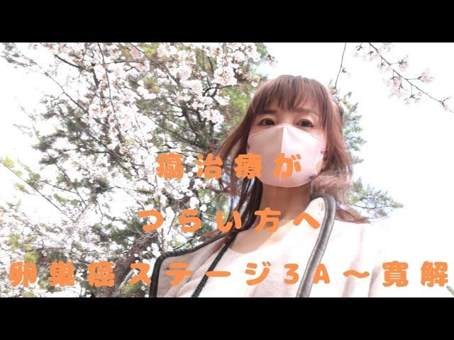 【卵巣癌】癌と闘うという言葉が嫌いだった〜発想を変えたこと〜寛解