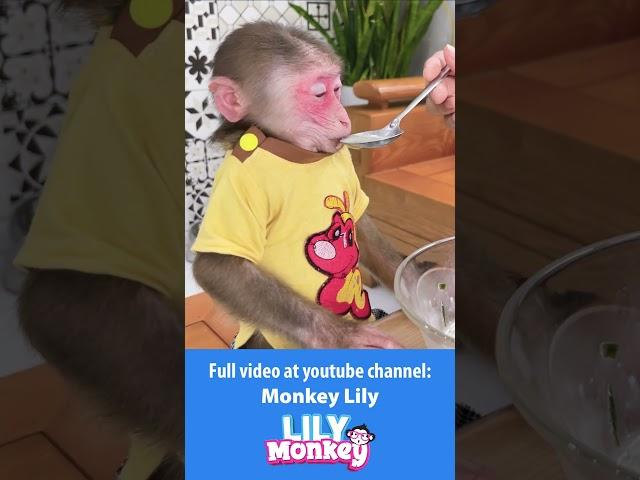 Lily is living happily with her Dad P2 #shorts #short #monkey