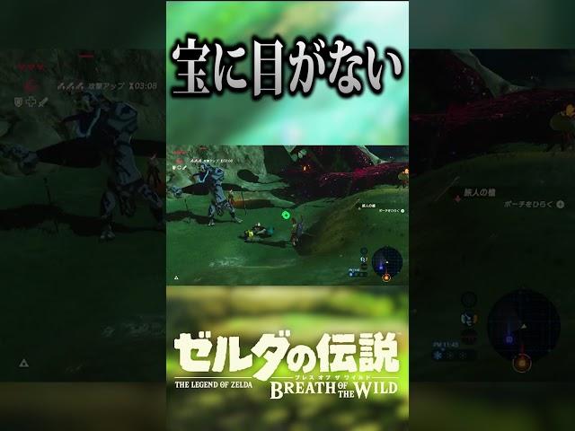 素材回収を優先した男の末路【ゼルダの伝説　ブレス オブ ザ ワイルド】