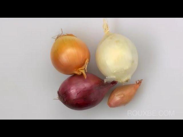 Mincing, Dicing & Cutting Onions