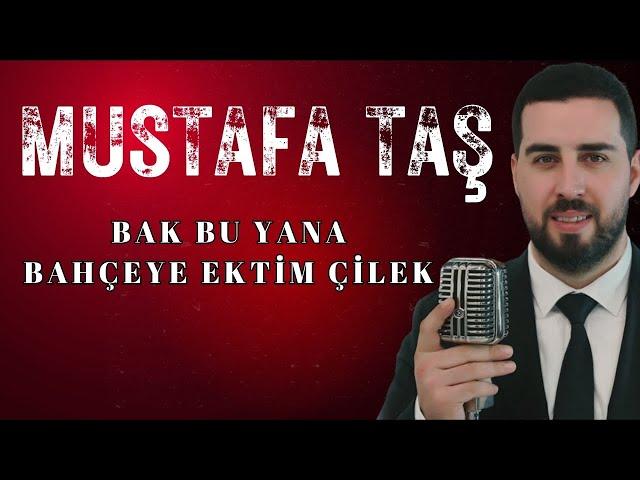 Mustafa Taş - Bak Bu Yana - Bahçeye Ektim Çilek