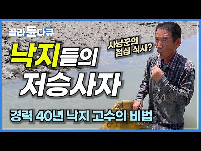 무덤 파놓고 주워가는 그야말로 낙지들의 저승사자! 경력 40년 산낙지 사냥꾼의 특별한 낙지 잡이 방법│갯벌 낙지사냥꾼│한국기행│#골라듄다큐