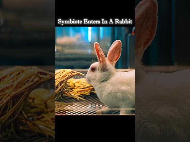 A Symbiote Entered  In Rabbit #shorts #venom #symbiote