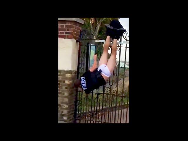 Best Funny Videos Compilation - Cute And Fails  Human Being Idiots