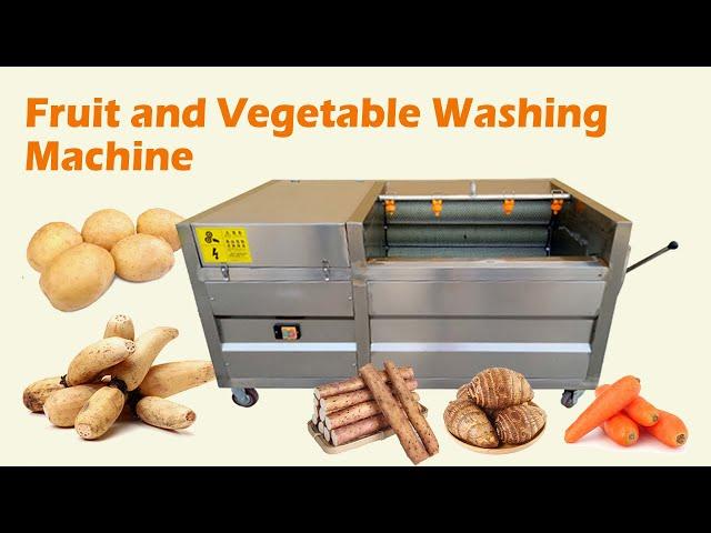 Fruit and Vegetable Washing Machine | Working Video of Daikon Washer | Brush Type Fruit Washer