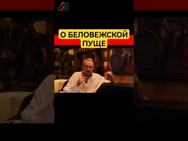 Развал СССР. Виталий Сундаков #сундаков #сссрирф #сссржив #сссрвосстановление