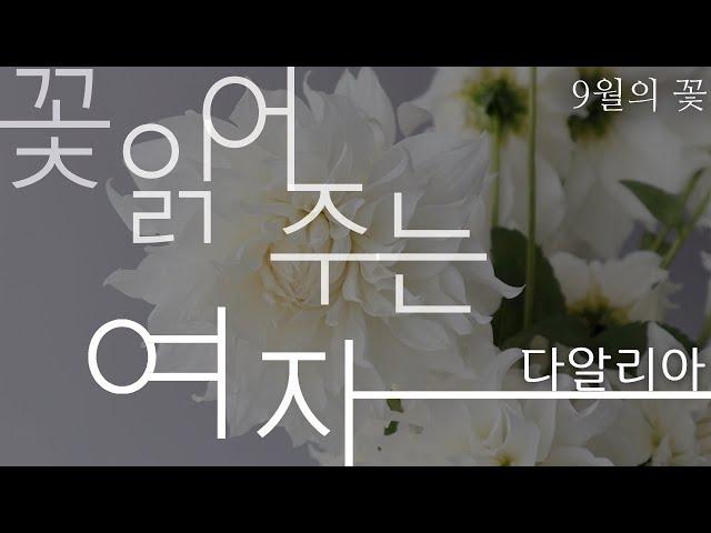 [쎄종플레리] 꽃 읽어주는 여자: 9월의 꽃, 다알리아 Dahlia