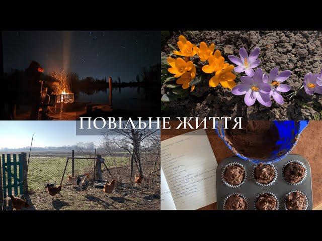 Повільне життя | сад, українське село, випічка шоколадно-бананових мафінів