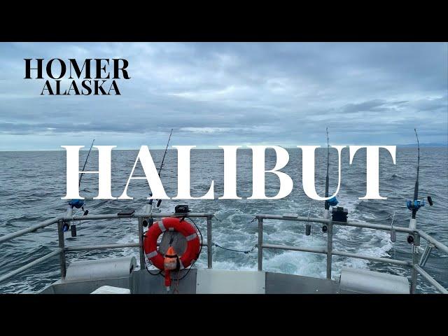 Halibut Fishing // Homer Alaska!