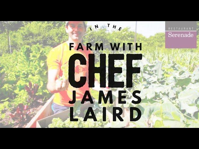 In The Farm with Chef James Laird of Restaurant Serenade