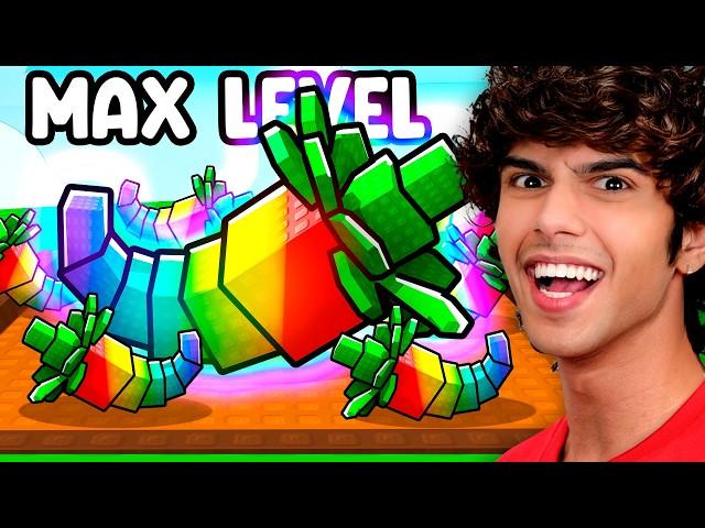 RACE TO RAINBOW DRAGON PEPPER (Grow a Garden)