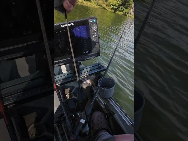 I Almost Tipped My Kayak!!  #kayakfishing #bassfishing #kayak #fail #fails #bassfishing #fishfinder