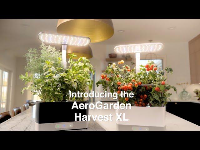 Introducing the AeroGarden Harvest XL