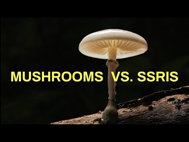 Are psychedelics as effective as SSRIs in treating depression?