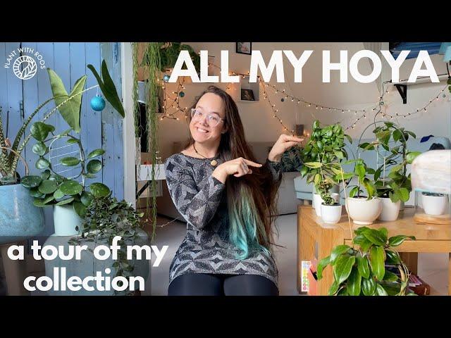 All my Hoyas - a full collection tour | Plant with Roos