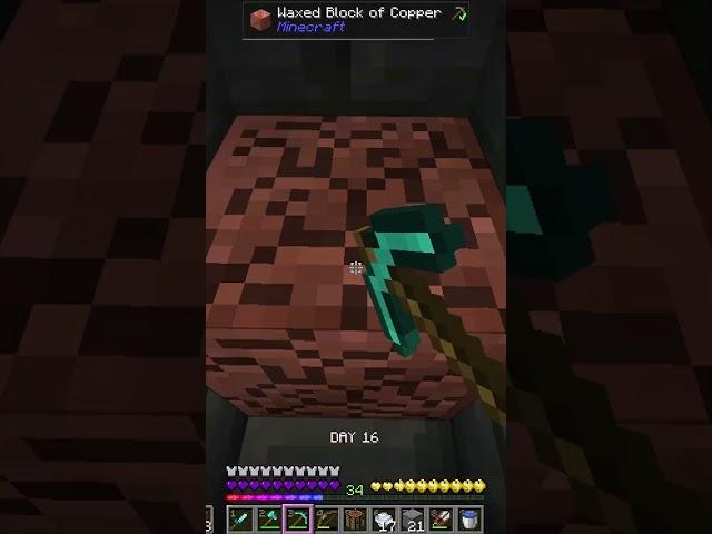 Minecraft Survival #17 #minecraft #gaming #fyp