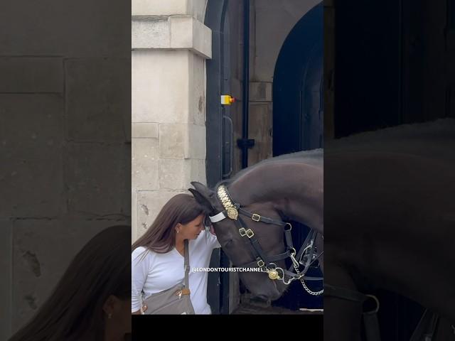 King’s Horse Recognised A Good Soul!