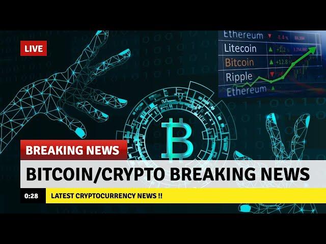 Crypto News Update: SEC Sanctioned, Binance Drama, IDEX Surge, NFT Insights | Crypto News Alerts