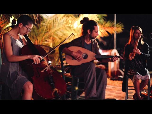 Daldalan Bari - Azeri folk song (Ney Lavta Cello)