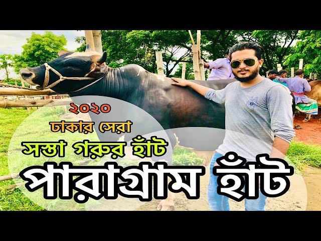 Paragram Hat | পারাগ্রাম হাঁট | Gorur Hat | Quarbani 2020