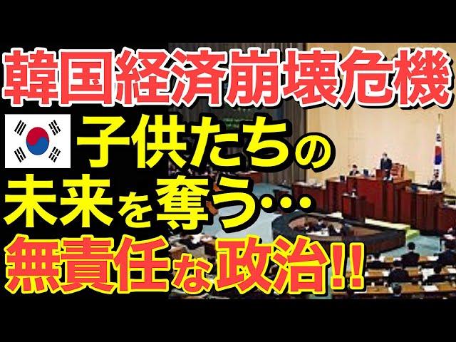 【海外の反応】隣国経済崩壊の危機！ 子供たちの未来を奪う無責任な政治の末路…【にほんのチカラ】