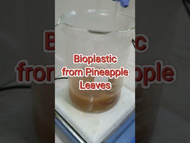 Bioplastic from Pineapple Leaves