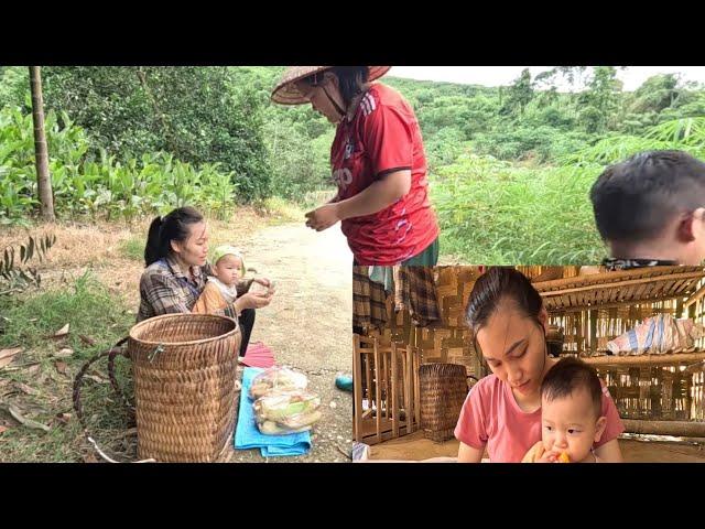 Enjoy sweet papaya at the farm. Grow more chicks. Ly Vy Ca