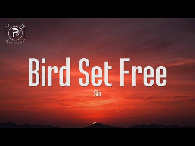 Sia - Bird Set Free (Lyrics)