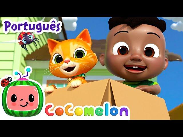 Cody brinca com a sua caixa! | HORA DO CODY BRASIL! | Músicas Infantis em Português