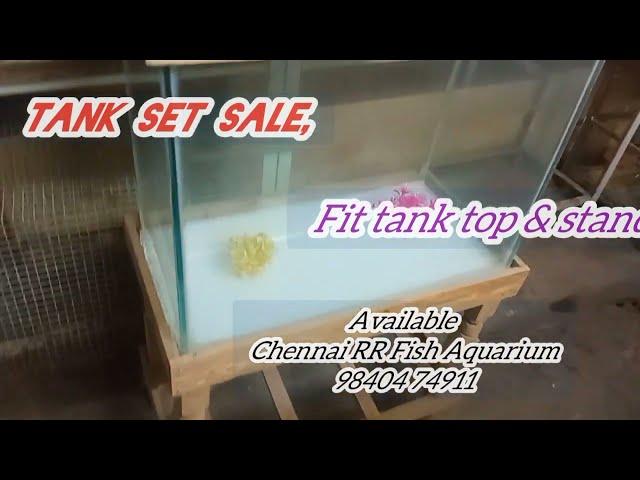 Fish Tank set, Aquarium Fish Tank, Chennai RR Aquarium