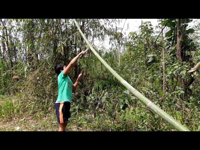 Using Bamboo to make Chaang for  Vegetable Garden.