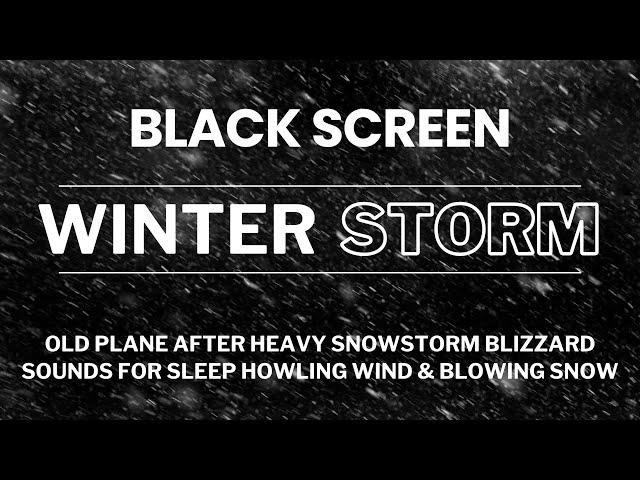 Old plane After Heavy Snowstorm | Blizzard Sounds for Sleep | Howling Wind & Blowing Snow