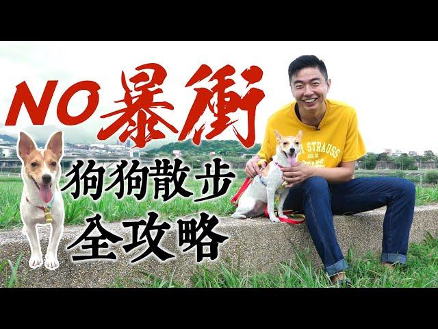 No暴衝！狗狗散步全攻略｜熊爸估狗