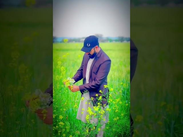 Muhammad mustafa aye naat | Muhammad Zaheer | Voice of jhelum | #shorts #urdunaat