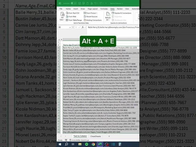EXCEL TEXT TO COLUMN #excel #texttocolumns #datacleaning #spreadsheetmagic