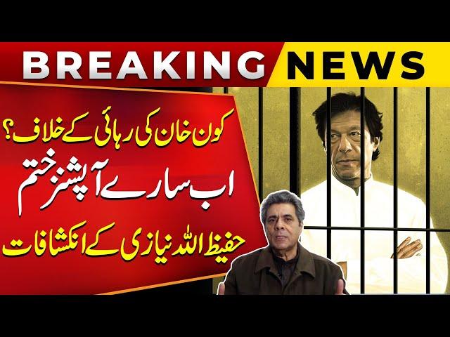 Who Is Against Imran Khan's Release? | Hafeezullah Niazi's Shocking Revelations | Public News