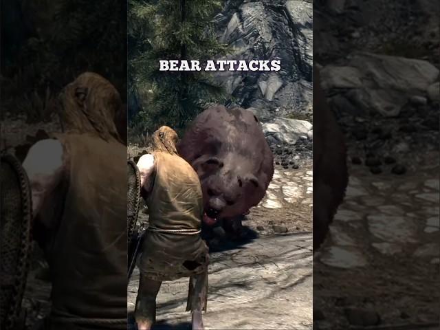 Skyrim  Following Freed Prisoners into the Wild #elderscrolls #gameplay #wildlife #skyrim #secrets