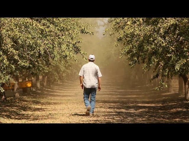 California’s Central Valley: ‘More Than Just Farmers on Tractors’ | KQED News