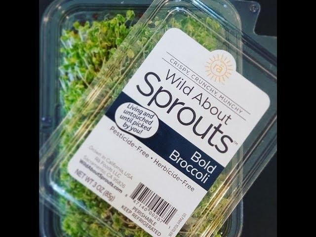 W.A.S. variety of endless ways to incorporate Sprouts