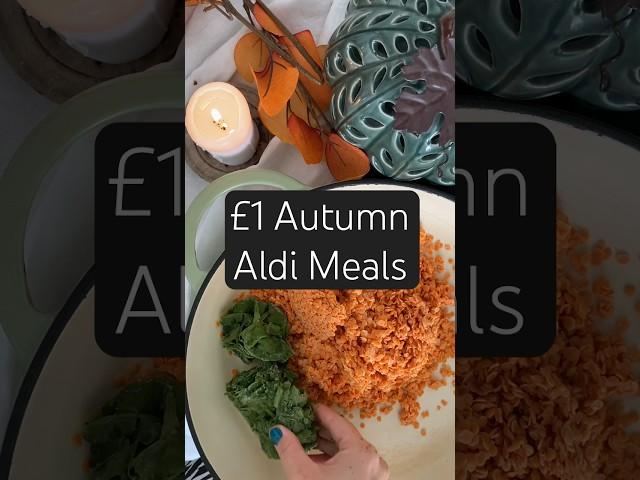 Meals that cost £1 or less from Aldi, that are perfff for Autumn and Winter? #shorts #aldimeals