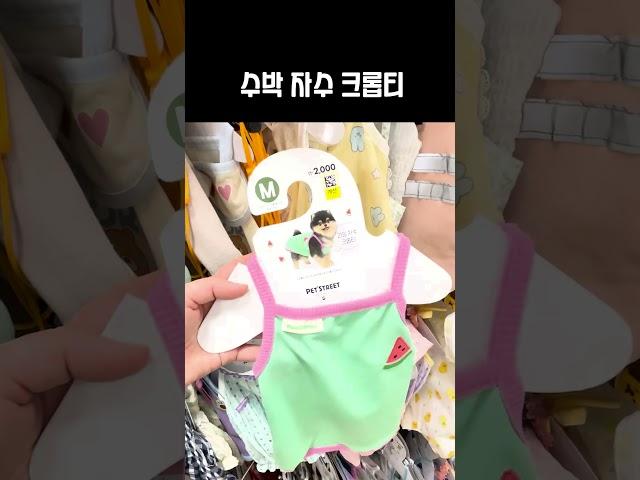 다이소 강아지 여름옷 추천