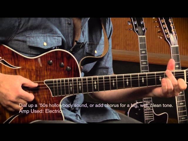 Taylor Guitars "T5z Demo"