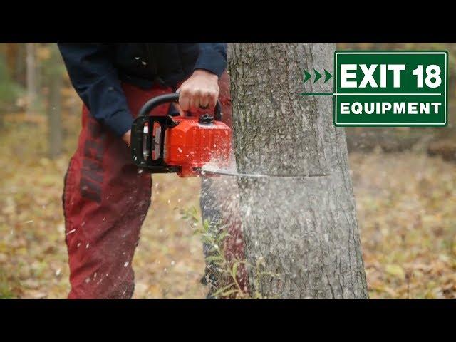 ECHO 58V Cordless Electric Chainsaw