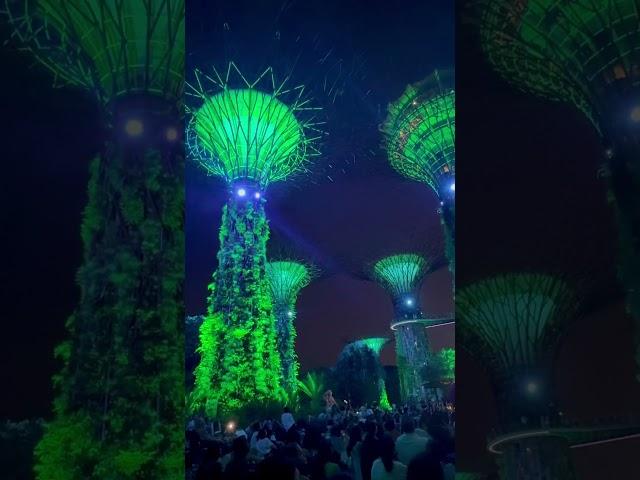 INCREDIBLE LIGHT SHOW! Gardens By the Bay Singapore  #singapore #travel #gardensbythebay