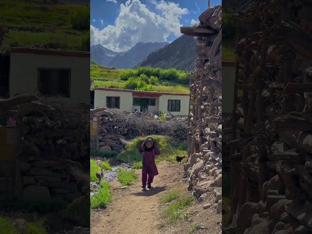 Vallage life #skardu #asifashoor #nature #pakistan