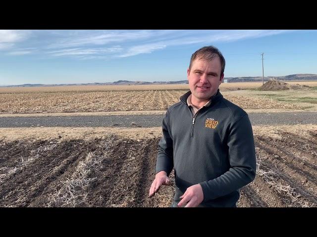 2019 planting conditions