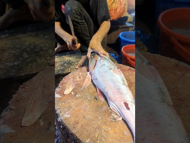 Wow!! Traditional Big Size Bighead Fish Cutting Skills In Village Fish Market| part-1  #shorts