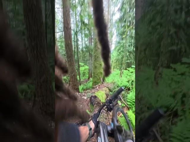 Dumbest Crash Ever ft. A Ninja Roll #mtb #mtbfail #fridayfails